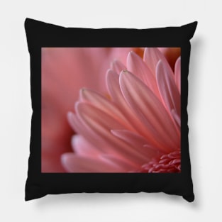 Petals Pink Pillow