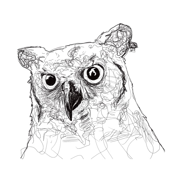 Owl Eyes by Anthony Statham