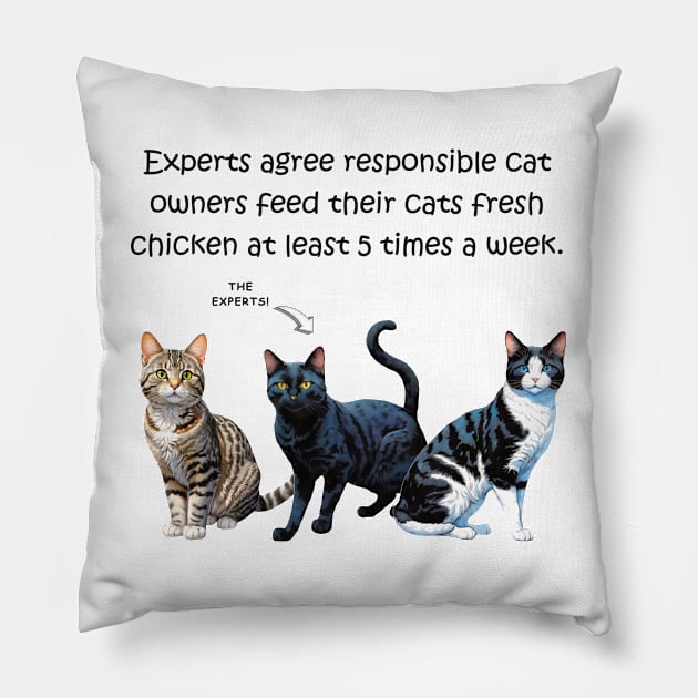 Experts agree responsible cat owners feed their cats fresh chicken at least 5 times a week - funny watercolour cat design Pillow by DawnDesignsWordArt