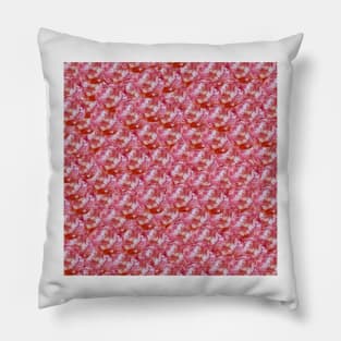 Salami Pillow