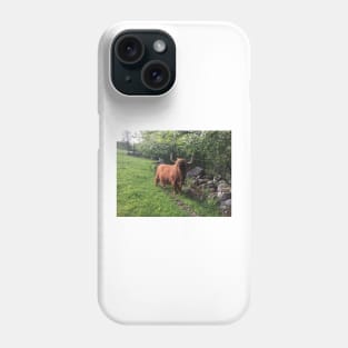 Scottish Highland Cattle Cow 2404 Phone Case