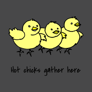 Hot chicks gather here T-Shirt