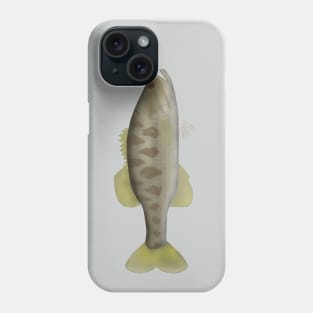 Guadaloupe bass Phone Case