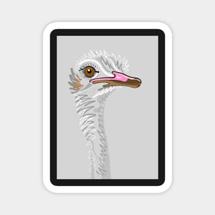 Ostrich Portrait On Grey Magnet