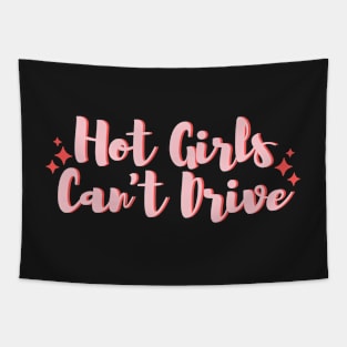 Hot Girls Can't Drive, Cute Pink Bumper Tapestry