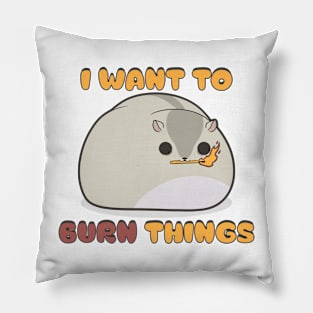 Burn Things Pillow