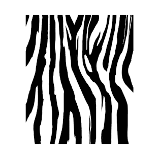 Zebra Print T-Shirt