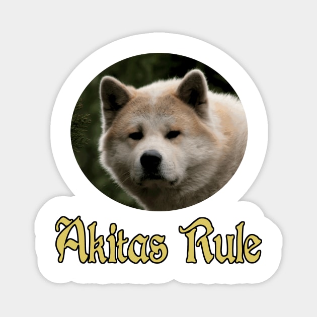 Akitas Rule Magnet by Naves