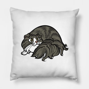 All Curled Up--Longhaired Scottish Fold Tabby Style Pillow