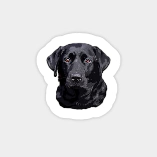 Labrador Retriever Black Dog Magnet