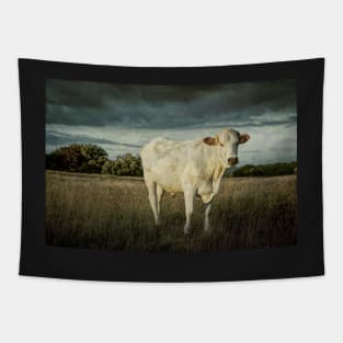 Bullock#10 Tapestry