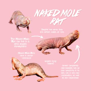 Naked Mole Rat Fun Facts T-Shirt