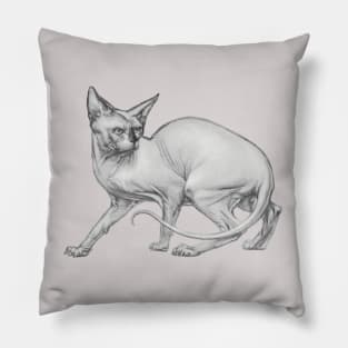 Realistic Sphinx Cat Graphite Drawing - Black and White Art Pillow