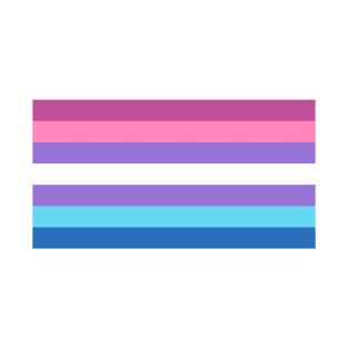 Bigender Flag T-Shirt