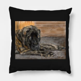 English Mastiff Puppy Pillow