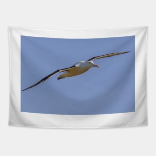 Royal Albatross Tapestry