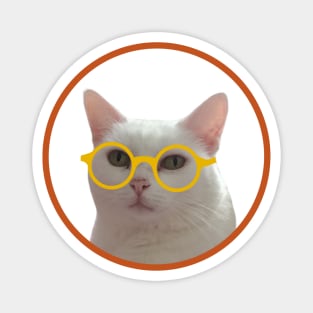 Kitten wearing glasses Magnet