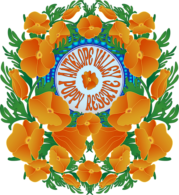 Antelope Valley California Poppy Preserve Wildflower Superbloom Kids T-Shirt by Spatium Natura