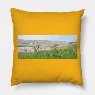 The Badlands! Pillow