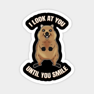 I look at you until you smile - The Quokka Magnet