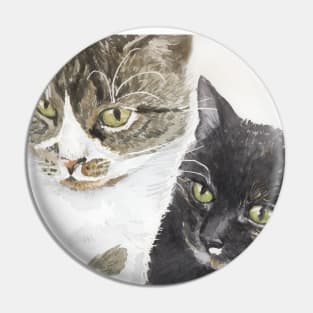 Two cats - tabby and tortie Pin