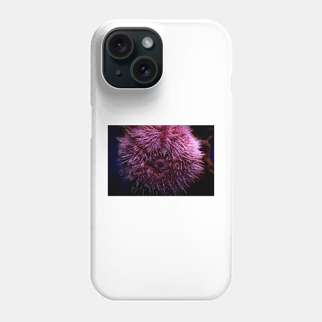 Pink Sea Urchin Phone Case by arc1