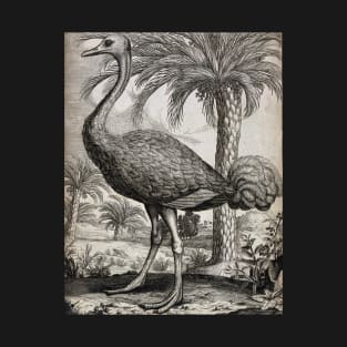 An Ostrich, Unknown T-Shirt