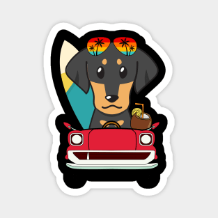 Surfer dachshund driving to the beach Magnet