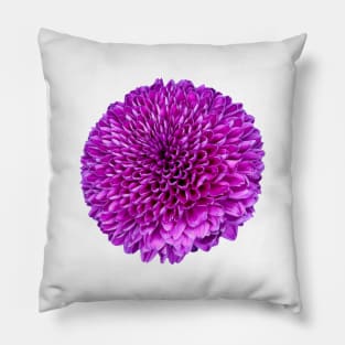 Pink Chrysanthemum Cutout Pillow