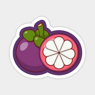 Mangosteen Fruit Magnet