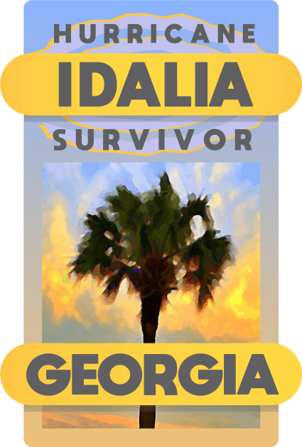 Hurricane Idalia Survivor Kids T-Shirt by Dale Preston Design