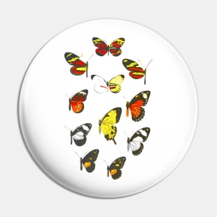 Butterfly Pin