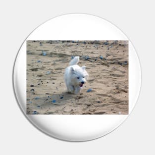 Beach dog Pin