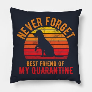 Funny Quarantine Quotes funny quarantine quotes gifts Pillow