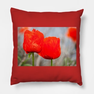 A splash of colour Pillow