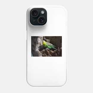 Budgie In Nest Hole Phone Case