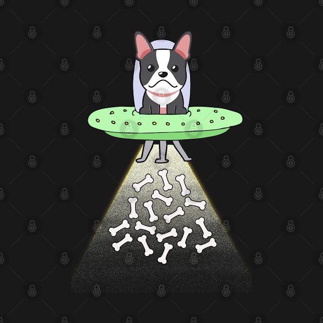 Funny french bulldog is flying a ufo by Pet Station