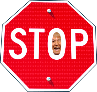 STOP TRUMP Magnet