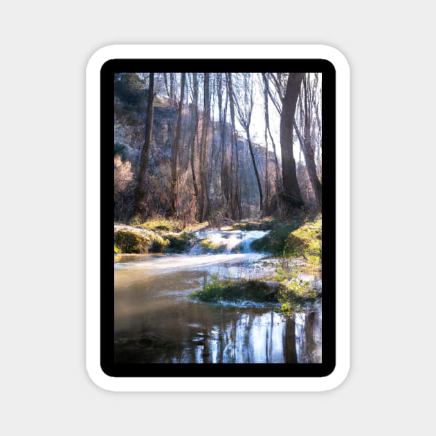 Forest River Waterfall Magnet by maxcode