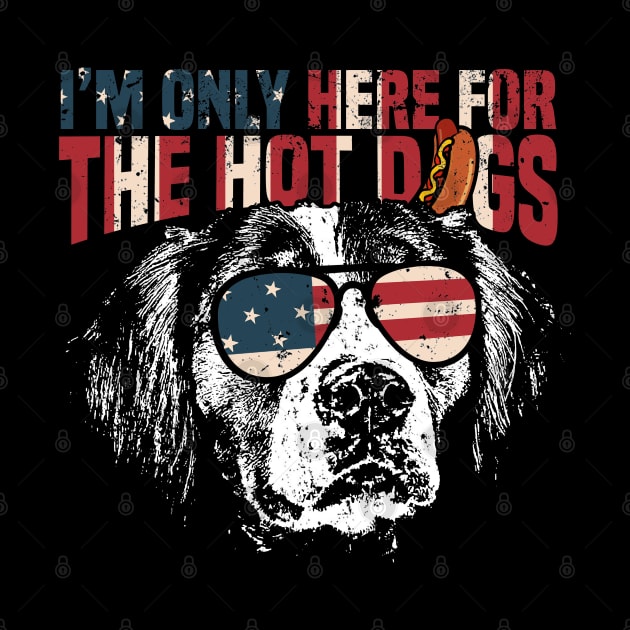 Brittany Spaniel Funny 4th of July by Madfido