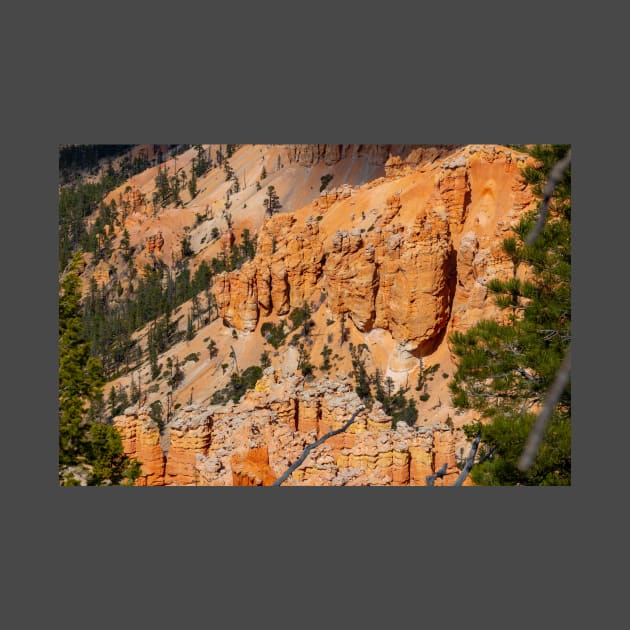 Bryce Canyon View 7 by Rob Johnson Photography