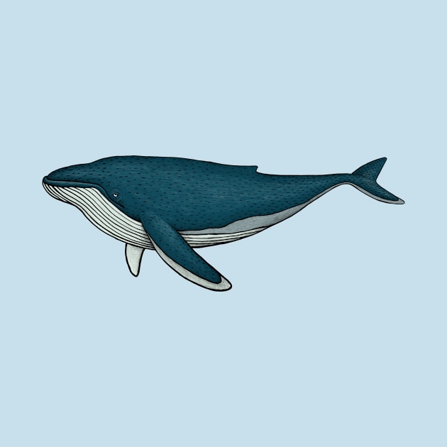 Whale by Akman