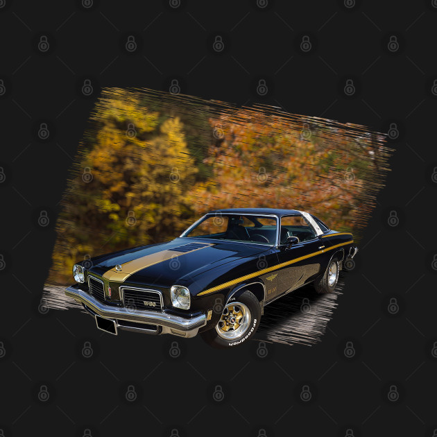 1974 Hurst Olds 442 in our fall day series on back by Permages LLC