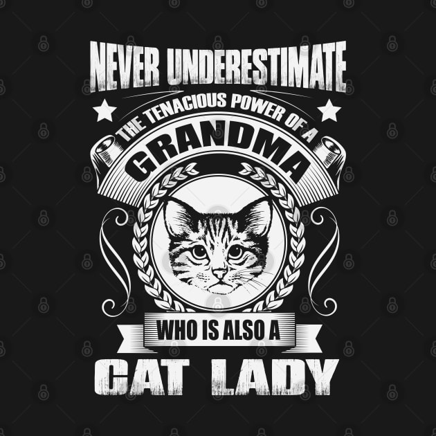 Never Underestimate A Cat Lady Grandma by ryanjaycruz