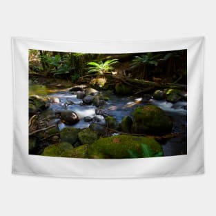 Taggerty Cascades #3 Tapestry