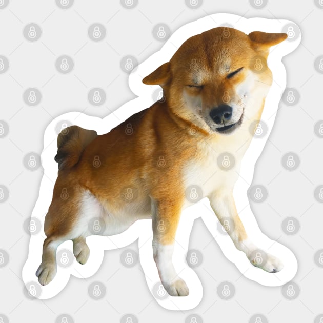 Lilly the Shiba Inu Smiling Airplane Ears Shiba Inu Sticker