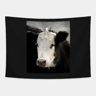 Black and White Cow Tapestry