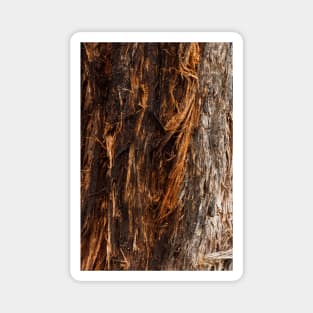 Fire Red String Bark Burnt Tree Trunk - Alternative Magnet