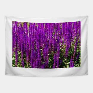 Purple loosestrife Tapestry