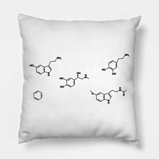 Organic Chemistry Molecule Pack Pillow